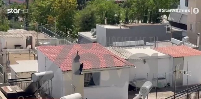 Περιστέρι: "Τους δίναμε ρούχα, αλλά φορούσαν τα ίδια" - Οι μαρτυρίες για τα 6 αδερφάκια και οι αντιφάσεις της γιαγιάς