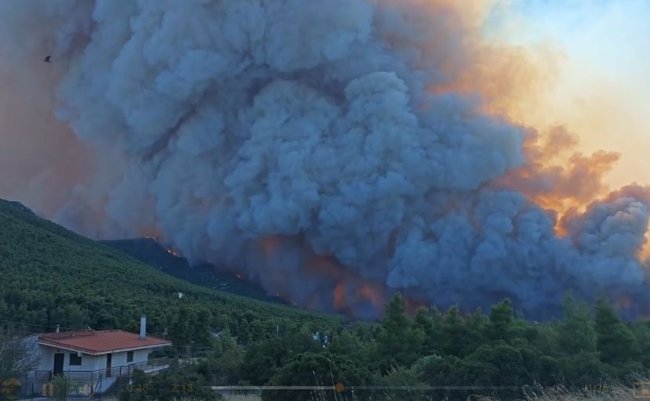 "Mega Fire" στο Πόρτο Γερμενό - Εφιάλτης με τεράστιες φλόγες, μανιώδεις ανέμους και μέτωπο χιλιομέτρων - 112 για απομάκρυνση προς Μέγαρα