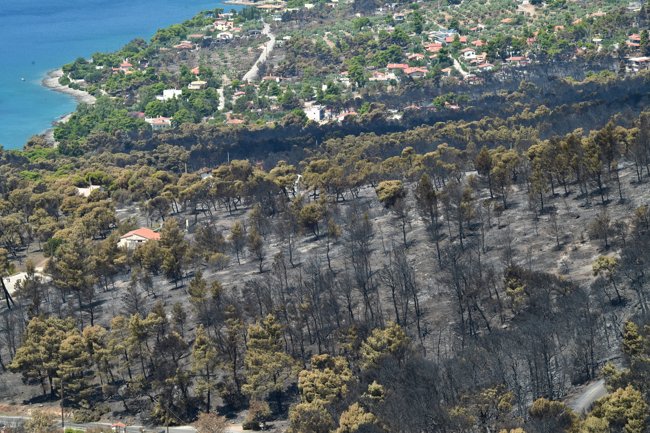 ΦΩΤΙΑ ΔΥΤΙΚΗ ΑΤΤΙΚΗ ΕΠΟΜΕΝΗ ΜΕΡΑ