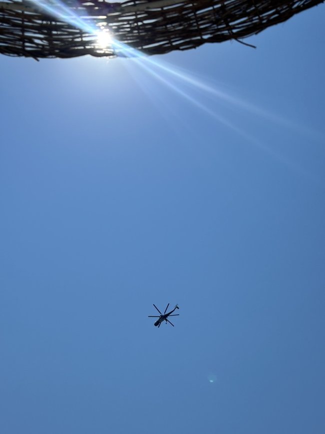 φωτια ευβοια