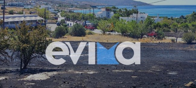Εύβοια: Μία σύλληψη για φωτιά που ξέσπασε στον Αετό Καρύστου