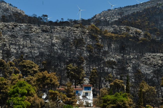 Η επόμενη ημέρα μετά την πύρινη λαίλαπα στη Δυτική Αττική - Στάχτες και απέραντο "μαύρο" μετά την εφιαλτική φωτιά