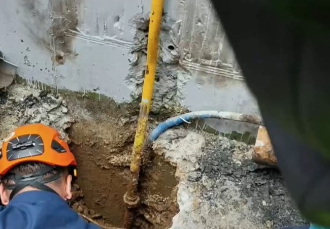 βιολαντα45