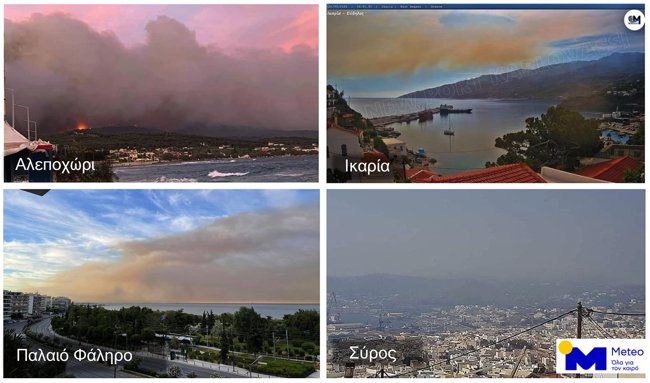 Καπνός Σχίνος