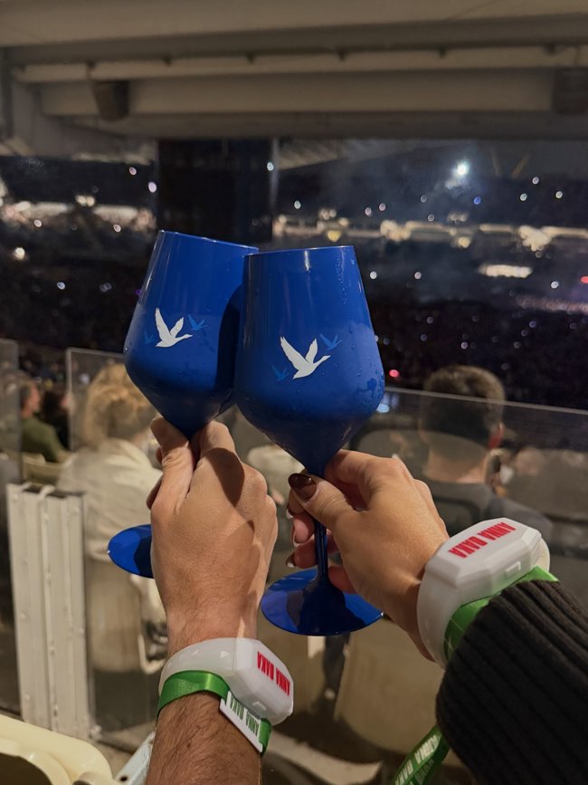 GREY GOOSE ΑΝΝΑ ΒΙΣΣΗ