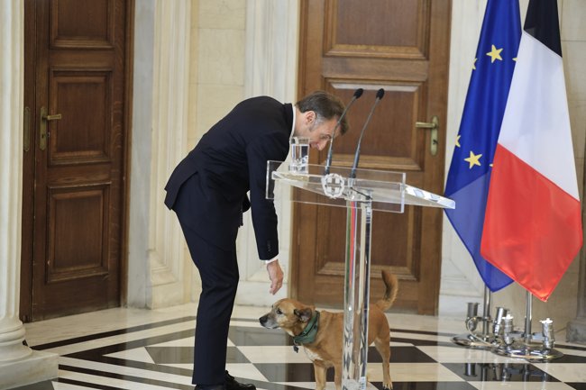 πινατ
