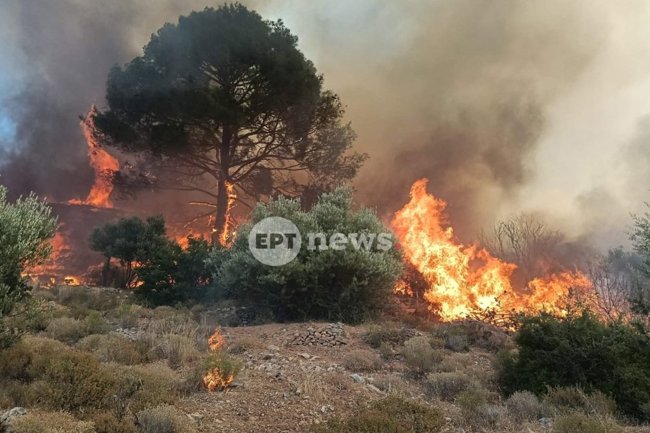 Συναγερμός για δύσκολη φωτιά στο Πλωμάρι Λέσβου - Ήχησε το 112