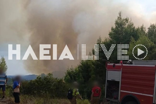 ΦΩΤΙΑ ΜΟΥΖΑΚΙ ΗΛΕΙΑ