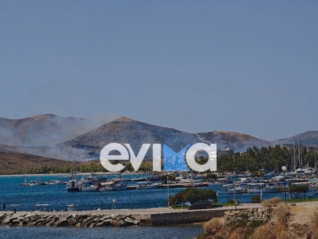 Ανεξέλεγκτη η φωτιά στην Κάρυστο: Τρία μέτωπα σε εξέλιξη - Εκκενώθηκαν τρεις περιοχές [εικόνες - βίντεο]