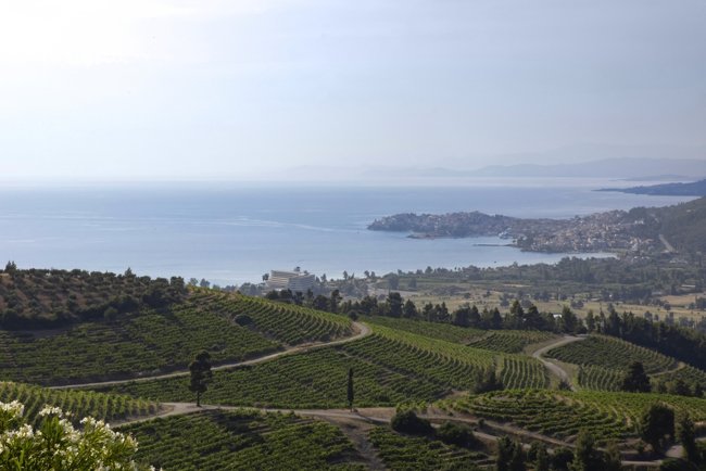 PORTO CARRAS ATHLOS