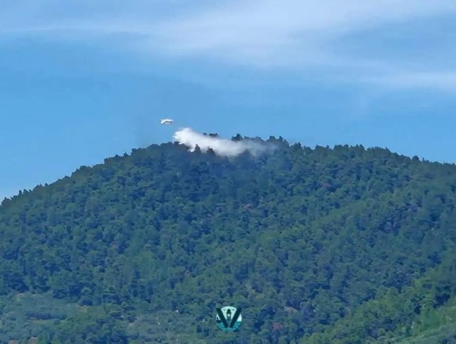 Φωτιά στη Σκόπελο: Οριοθετήθηκε η φωτιά σε αγροτοδασική έκταση - Μεγάλη επιχείρηση από αέρος