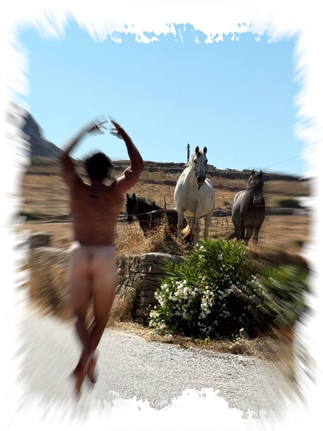 τοτσικασ
