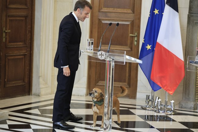 πινατ