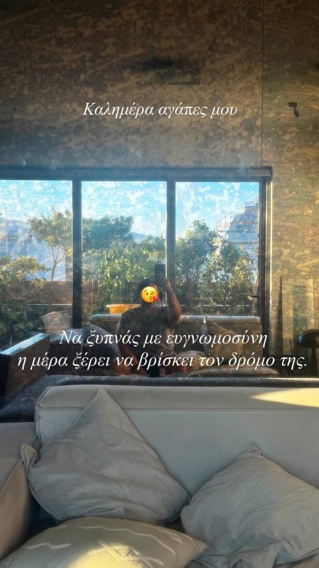 Δανάη Μπάρκα: Ανακαινίζει το σπίτι της στο Χαλάνδρι - Οι αλλαγές και ο εντυπωσιακός πίνακας [εικόνες]