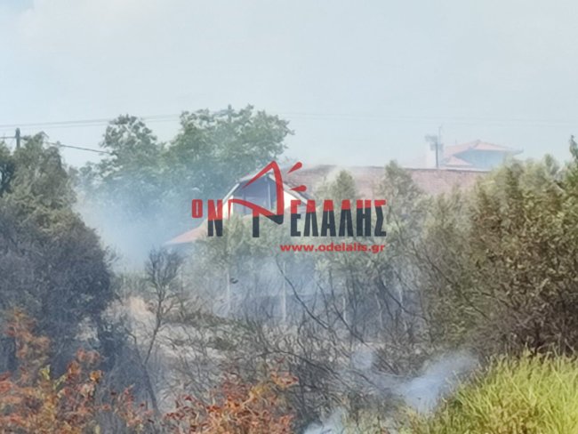 Μεγάλη φωτιά στην Πλάκα Λιτοχώρου: Μήνυμα 112 για εκκένωση - Ακινητοποιήθηκαν τρένα - Στις φλόγες ένα εξοχικό