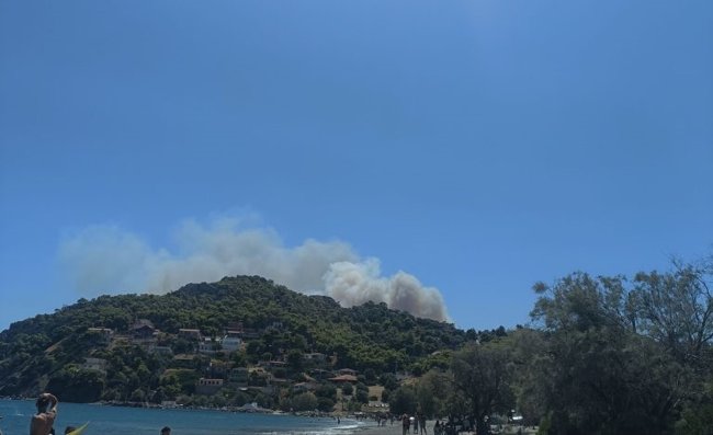 Φωτιά στη Σαλαμίνα: Δύο τα πύρινα μέτωπα - Το ένα κοντά σε οικισμό - Μπαράζ μηνυμάτων 112 για εκκενώσεις περιοχών