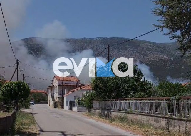 Μεγάλη φωτιά στην Επισκοπή Κύμης στην Εύβοια - Μάχη με τις φλόγες κοντά σε σπίτια, εστάλη 112 [εικόνες - βίντεο]