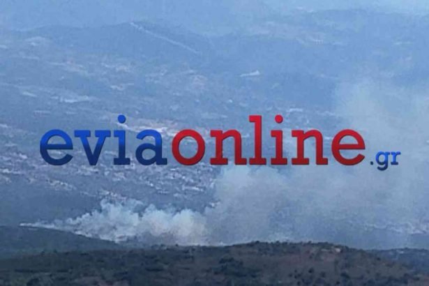 Φωτιά τώρα σε δασική έκταση στο Παρθένι Εύβοιας -  Ήχησε το 112 για ετοιμότητα