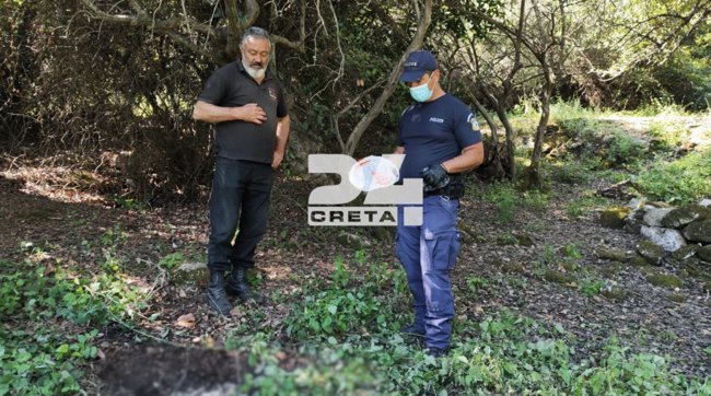 ΑΛΕΞΗΣ ΤΣΙΚΟΠΟΥΛΟΣ