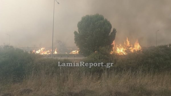 Μαίνεται ανεξέλεγκτη η φωτιά στο Ακραίφνιο Βοιωτίας: Ήχησε το 112 - Μάχη με 15 εναέρια μέσα - Έκλεισε η Εθνική [βίντεο]