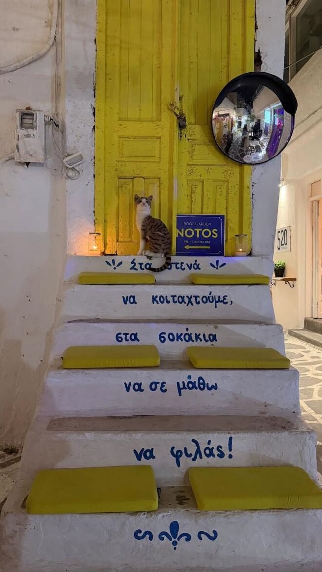 Ιωάννα Τούνη: Τριήμερο στη Νάξο με τον σύντροφό της Δημήτρη Σπυριδωνίδη και τους κουμπάρους της