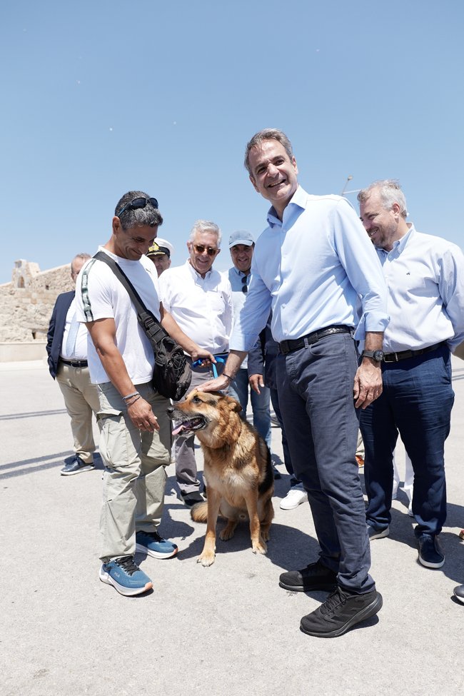 ΜΗΤΣΟΤΑΚΗΣ ΡΟΔΟΣ