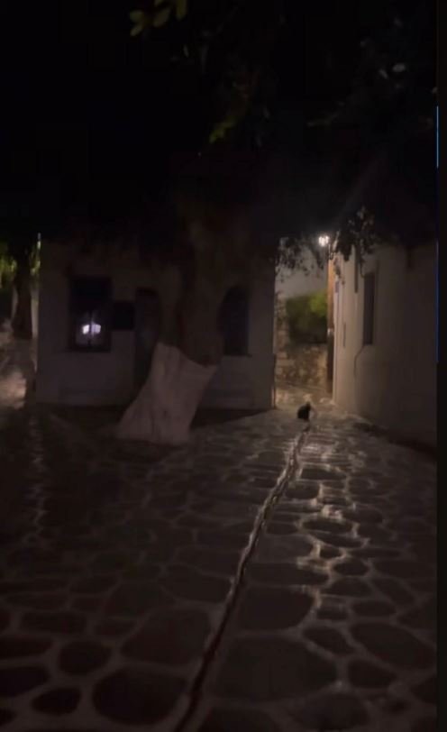 ΠΑΡΟΙΚΙΑ