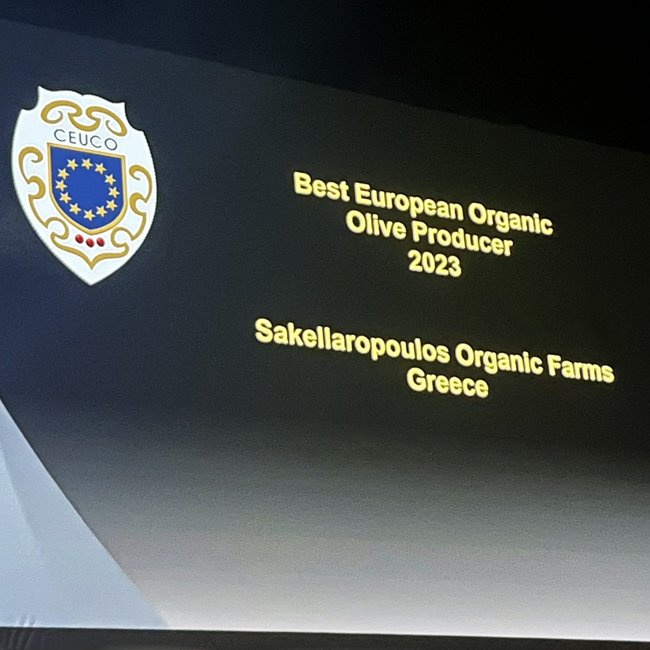 Ελαιώνες Σακελλαρόπουλου