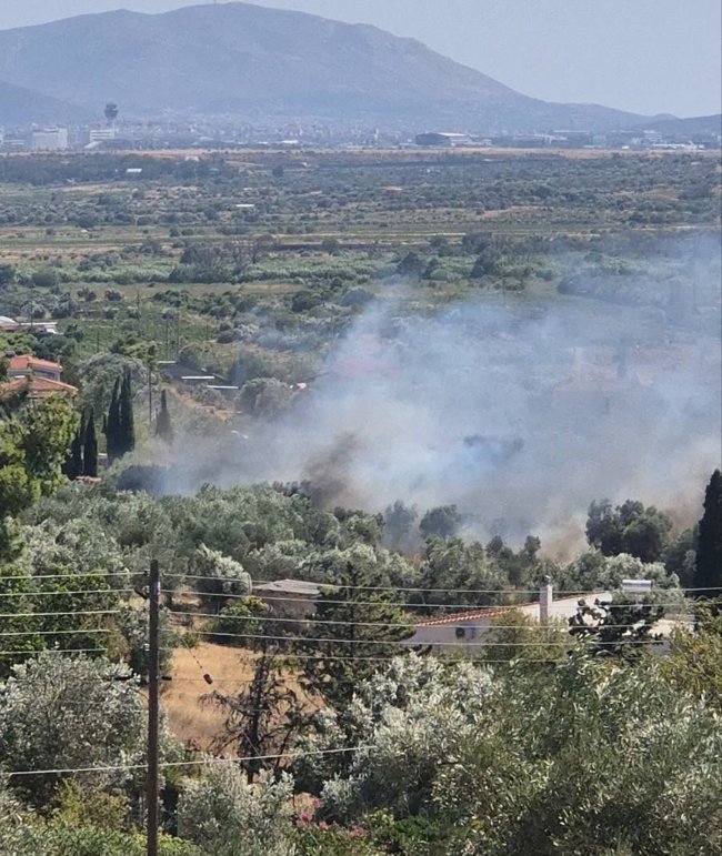 Φωτιά τώρα στα Σπάτα: Ήχησε το 112 στην περιοχή - Σε εξέλιξη μεγάλη επιχείρηση κατάσβεσης
