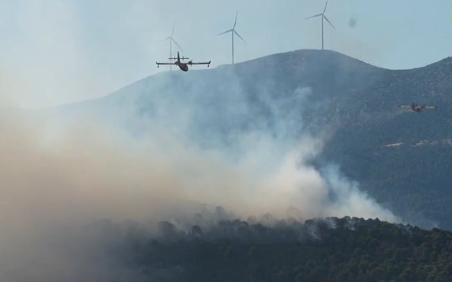 Μεγάλη φωτιά σε αγροτοδασική έκταση στην Οινόη Αττικής: "Μαρτυρίες κάνουν λόγο για τσιγάρο που πετάχτηκε από αυτοκίνητο"