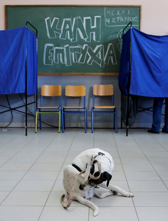 ΕΥΡΩΕΚΛΟΓΕΣ 2024 ΕΙΚΟΝΕΣ