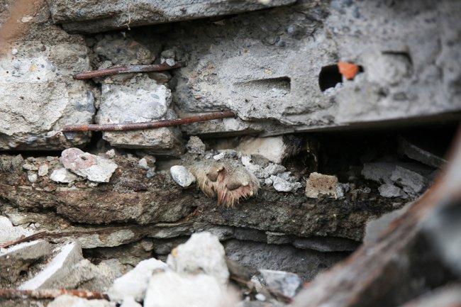 Σεισμός Κολομβία: Συνεχίζεται η αναζήτηση των εκατοντάδων αγνοουμένων - Η οσμή της αποσύνθεσης πνίγει τις περιοχές