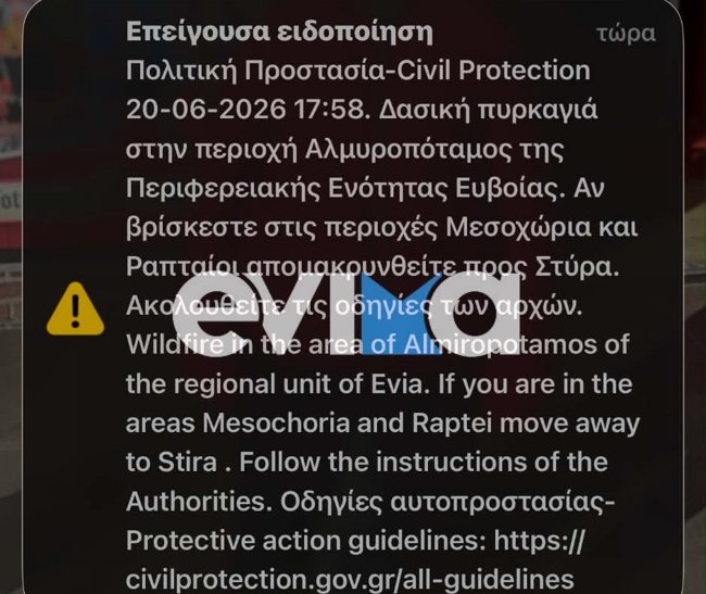 Μεγάλη φωτιά στην Εύβοια: Νέο 112 για εκκένωση δύο χωριών -  Ισχυροί άνεμοι στην περιοχή - Ενισχύθηκαν οι δυνάμεις πυρόσβεσης