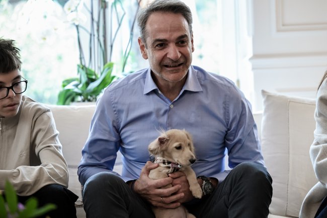 ΜΗΤΣΟΤΑΚΗΣ ΚΑΤΟΙΚΙΔΙΑ