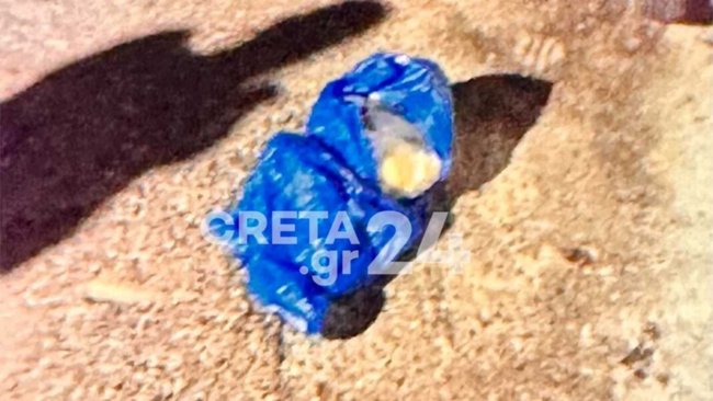 Ηράκλειο: Νεκρή πριν τη δίκη της η 34χρονη που πέταξε το μωρό της στα σκουπίδια - Αιφνίδιος ο θάνατος λένε οι αρχές