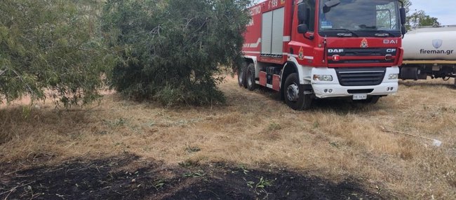 Άλσος Βεΐκου: Από μελίσσια ξεκίνησε η φωτιά στον λόφο Φιλοθέης - Αναζητούνται μελισσοκόμοι που διέφυγαν [εικόνες - βίντεο]