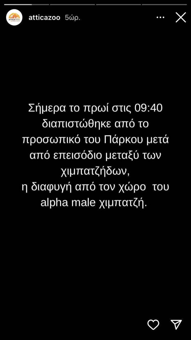 ΧΙΜΠΑΤΖΗΣ