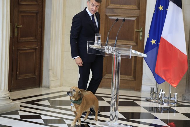 πινατ