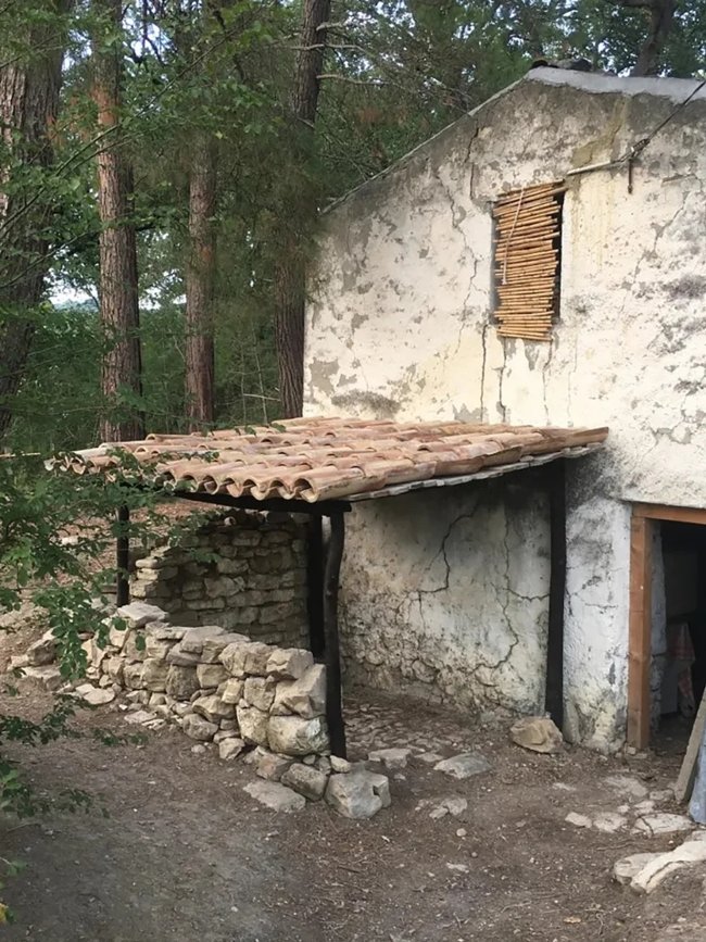 ΙΤΑΛΙΑ ΟΙΚΟΓΕΝΕΙΑ ΣΤΟ ΔΑΣΟΣ