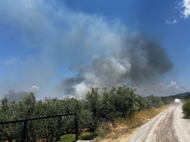 ΦΩΤΙΑ ΑΓΡΙΝΙΟ