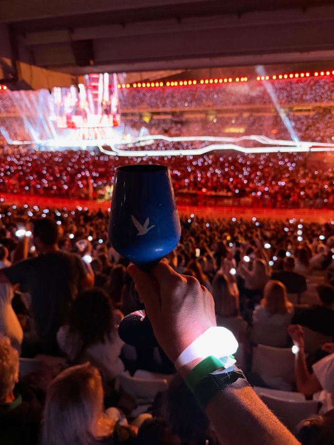 GREY GOOSE ΑΝΝΑ ΒΙΣΣΗ