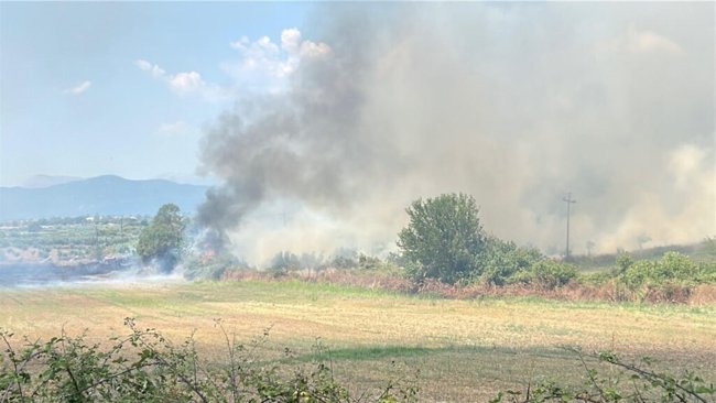 ΦΩΤΙΑ ΑΓΡΙΝΙΟ