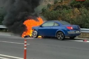 Φωτιά σε δασική έκταση στο Σουφλί: Πέρασε από τη Βουλγαρία - Ισχυρές δυνάμεις στα σύνορα