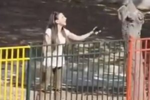 Μαράσλειο: Σοβαρός τραυματισμός μαθητή, έπεσε πάνω σε τζάμι - Έκανε 13 ράμματα στο νοσοκομείο [βίντεο] - εικόνα 2