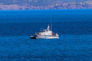Ρέθυμνο: Δέκα συλλήψεις για εγκληματική ομάδα με απάτες σε κτηνοτροφικές επιδοτήσεις και ναρκωτικά