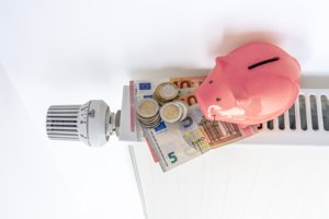 "Ψαλίδι" στην κατανάλωση καυσίμων λόγω της ακρίβειας που εκτοξεύεται - Κόβουν τις μετακινήσεις τα νοικοκυριά - εικόνα 3