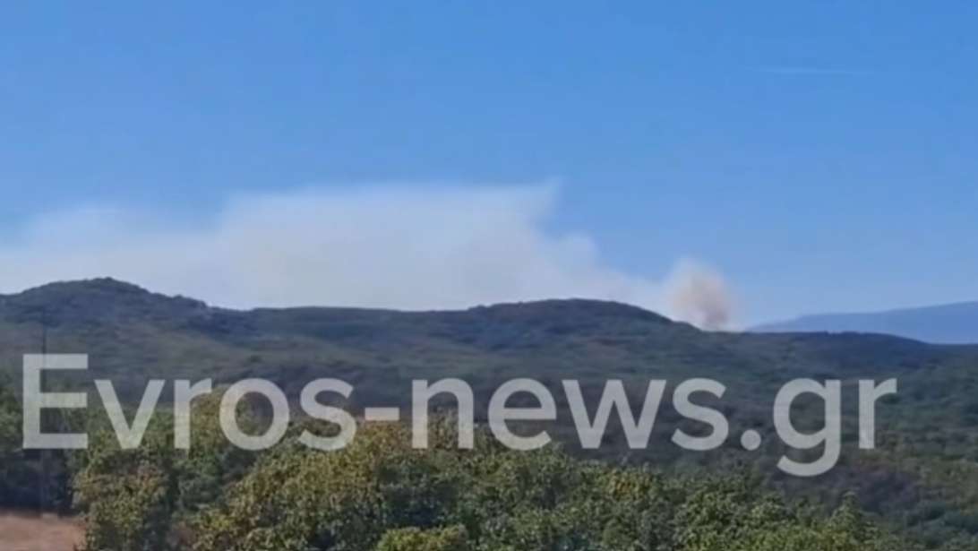 Φωτιά σε δασική έκταση στο Σουφλί: Πέρασε από τη Βουλγαρία - Ισχυρές δυνάμεις στα σύνορα
