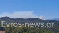 Φωτιά σε δασική έκταση στο Σουφλί: Πέρασε από τη Βουλγαρία - Ισχυρές δυνάμεις στα σύνορα