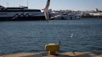 Απαγορευτικό απόπλου από Ραφήνα και Λαύριο – Τροποποιήσεις δρομολογίων από Πειραιά για Αργοσαρονικό