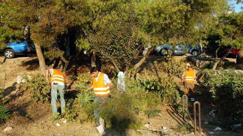 Τι αλλάζει στους καθαρισμούς των οικοπέδων με το νομοσχέδιο "Ενεργή Μάχη"